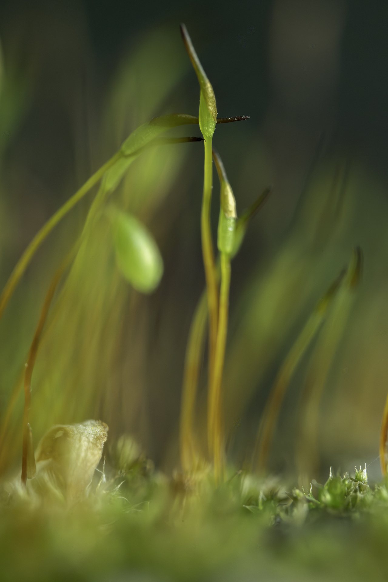 Photographie du club — image 20