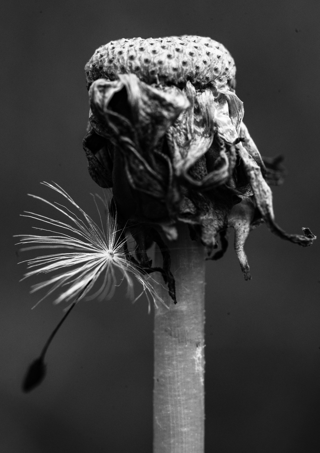 Photographie du club — image 19