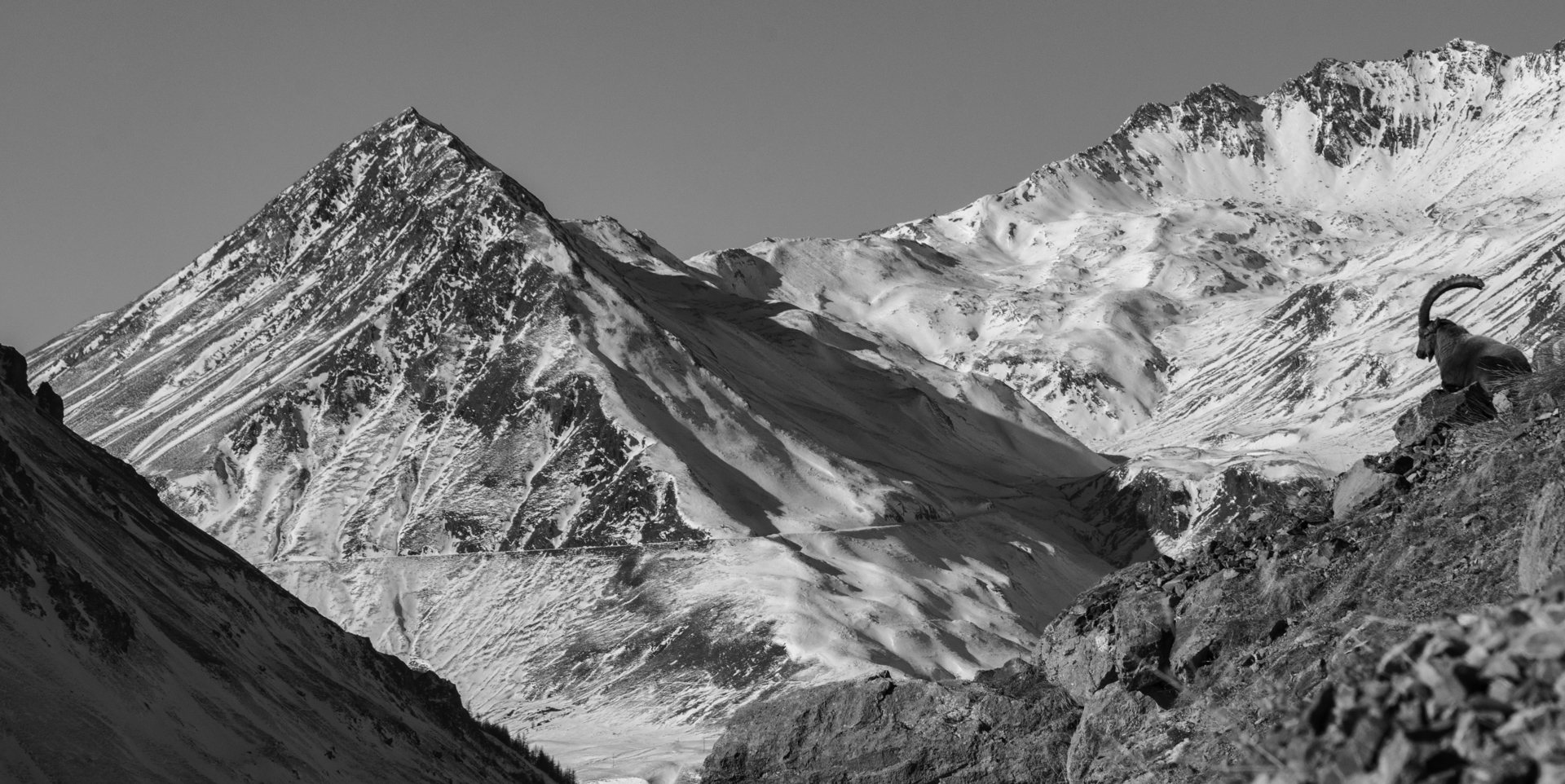 Photographie du club — image 84